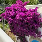 Kariki Blue Triantaros-tinos Holiday home *