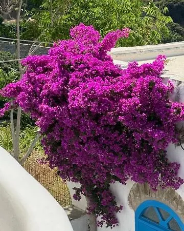 Kariki Blue Triantaros-tinos Vakantiehuis *