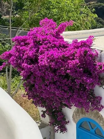 Kariki Blue Triantaros-tinos 別荘 *